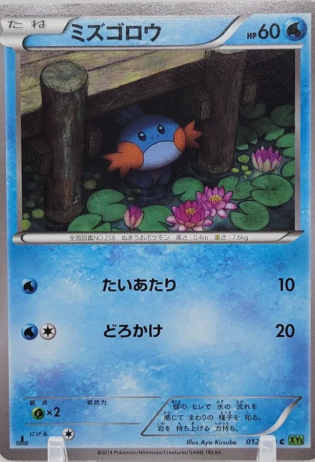 Mudkip [1st-Edition]